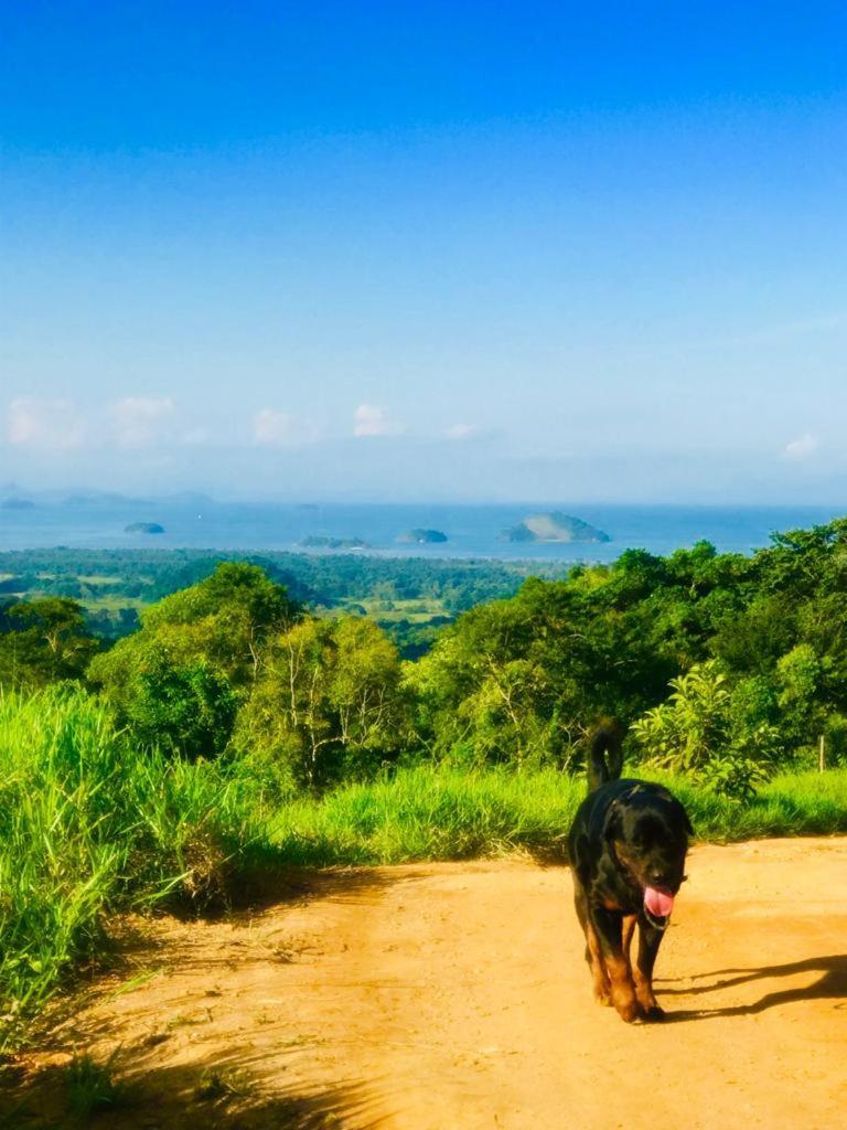 Eco Chales Caminho Das Aguas Barra Grande  Bagian luar foto