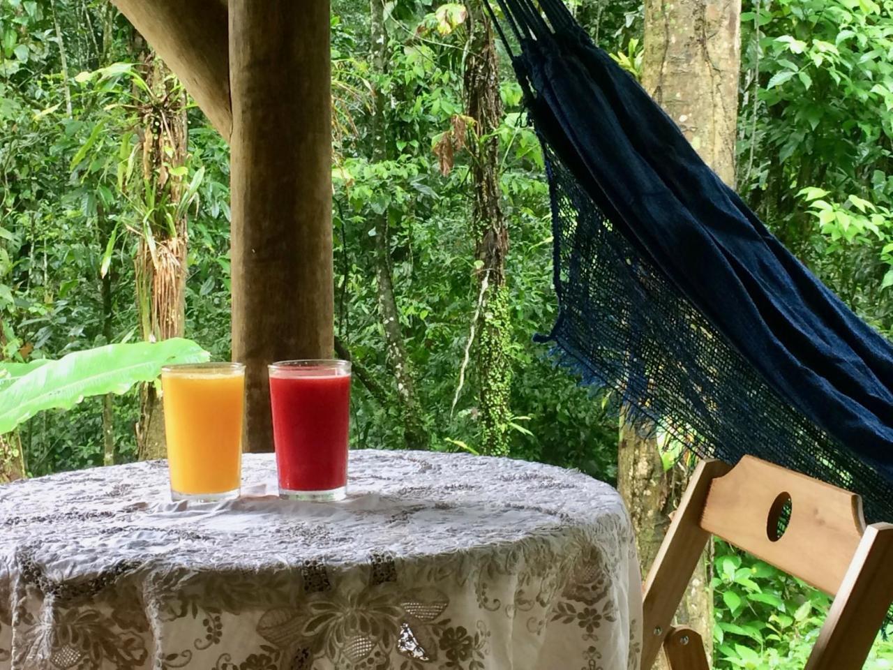 Eco Chales Caminho Das Aguas Barra Grande  Bagian luar foto