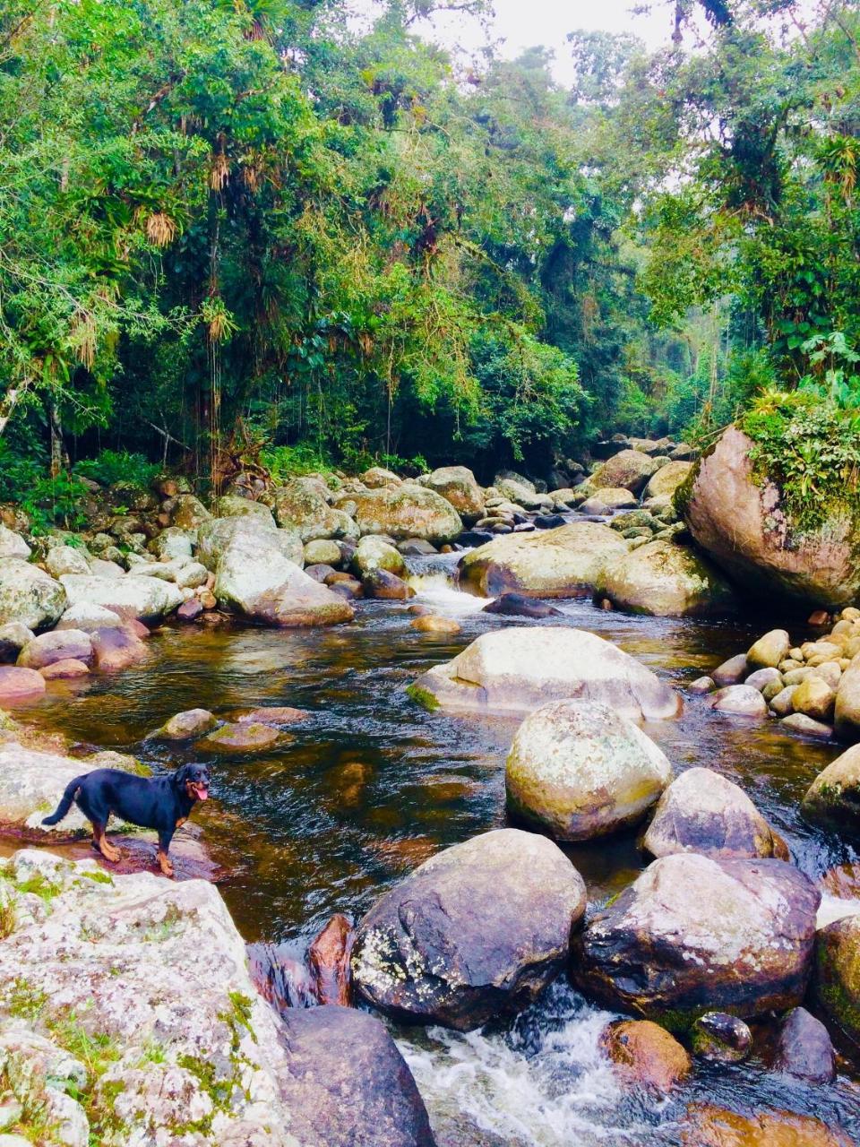 Eco Chales Caminho Das Aguas Barra Grande  Bagian luar foto